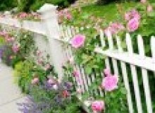 Kwikfynd Garden fencing
olary